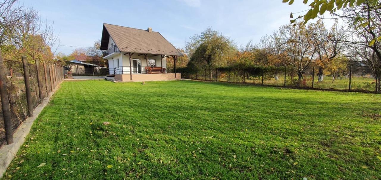 Green Nest Banesti Exterior photo