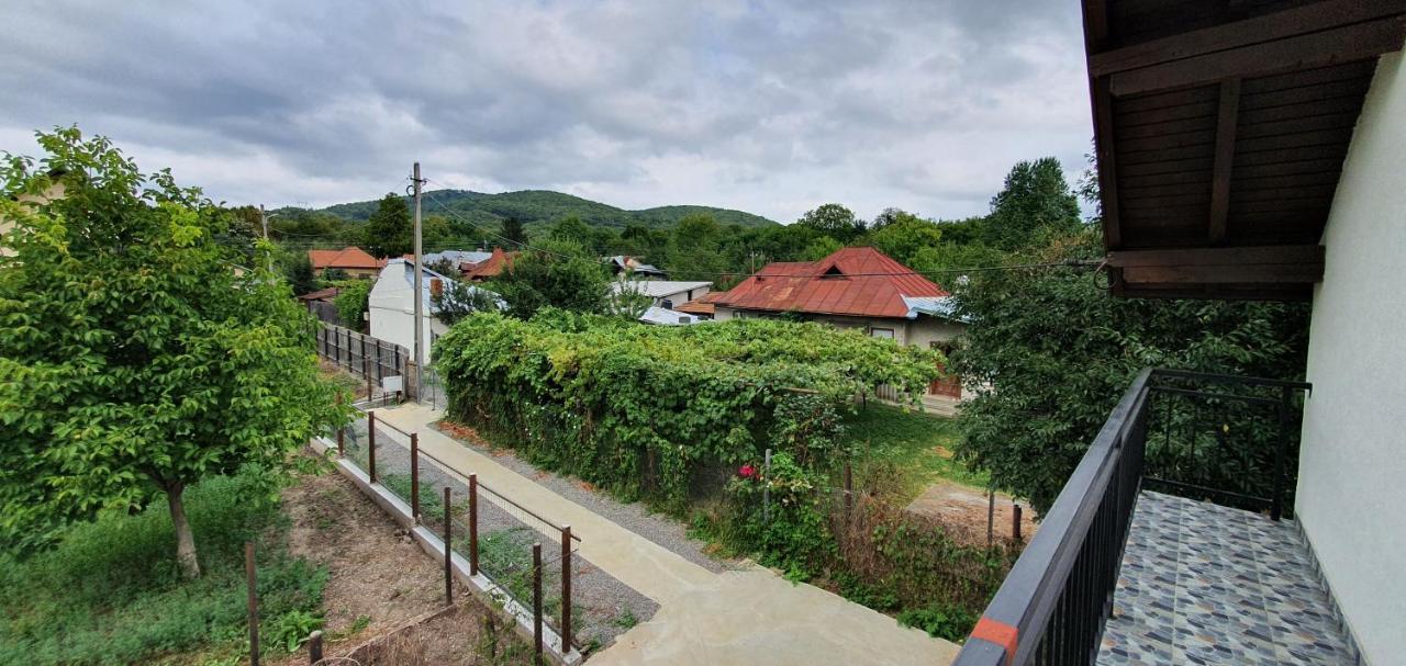 Green Nest Banesti Exterior photo